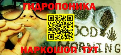 хмурый Абакан