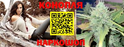 хмурый Абакан