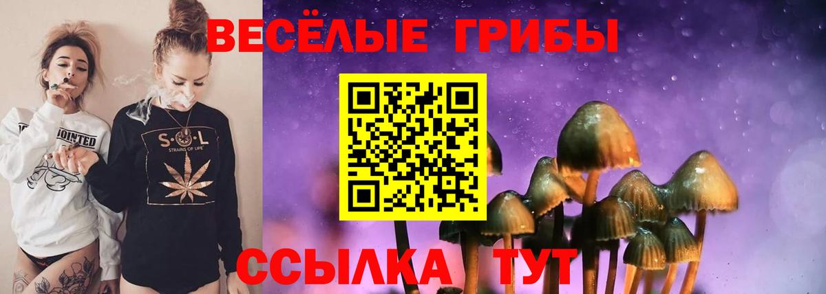 Галлюциногенные грибы ЛСД Алатырь